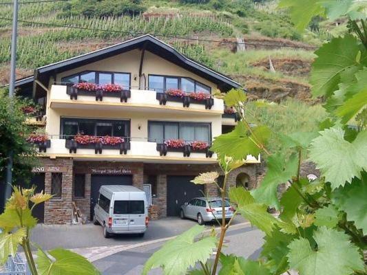 Ferienweingut Stein Bed & Breakfast Valwig Exterior photo